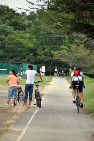 サイクリングロード