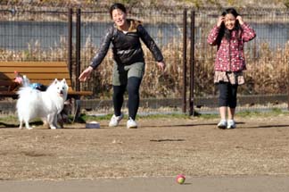 安比奈親水公園ドッグランで遊ぶ