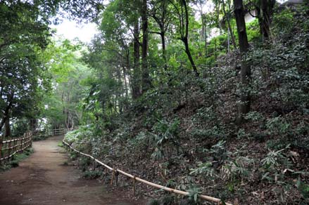 愛宕神社古墳 東南部分