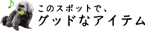 このスポットでグッドなアイテム