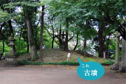 氷川神社古墳 全景