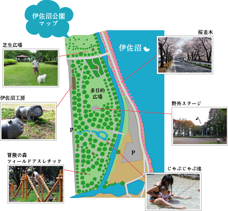 伊佐沼公園マップ