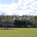 御伊勢塚公園　芝生広場