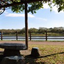 小畔水鳥の郷公園　東屋