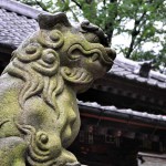 仙波の氷川神社　狛犬と社殿
