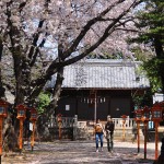 上戸日枝神社　参道