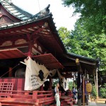 古尾谷八幡神社 社殿