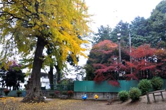 紅葉と紅葉