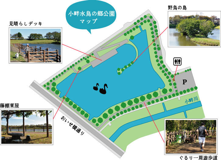 小畔水鳥の郷公園マップ