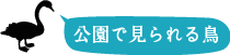小畔水鳥の郷公園で見られる鳥