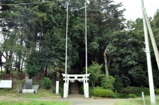小堤八幡神社を覆う森