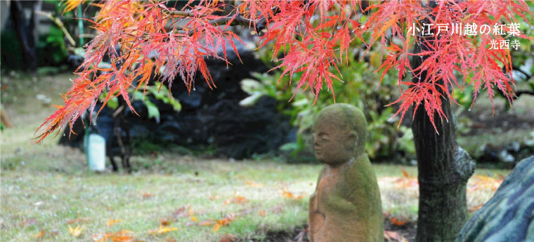 光西寺の紅葉