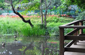 仙波河岸史跡公園