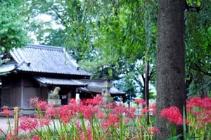 仙波氷川神社