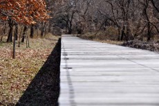 ウッドデッキ歩道で散策