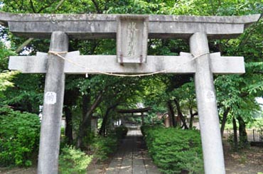 老袋氷川神社_鳥居