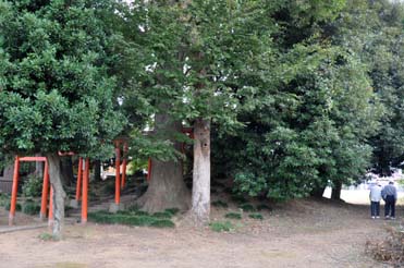 東側からの古墳