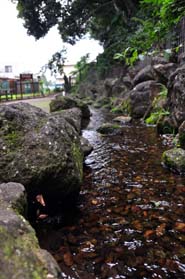 公園内の小川