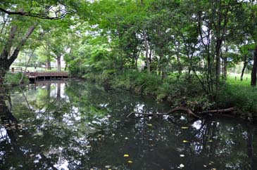 仙波河岸場跡