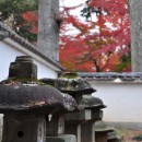 松平大和守家廟所の紅葉