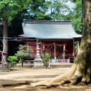 三芳野神社