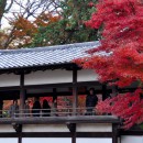 喜多院　庫裡と紅葉