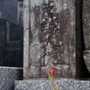 志誠の墓と一輪の花