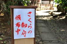 川越氷川神社でさくら御守