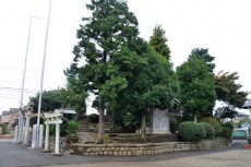 春日神社の全景