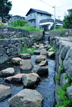 弁天池から流れる水路