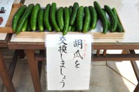 氷川神社内きょうり交換所