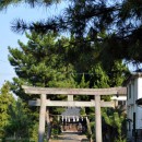 鴨田八幡神社 鳥居と拝殿