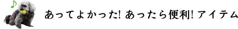 あってよかった！あったら便利！アイテム