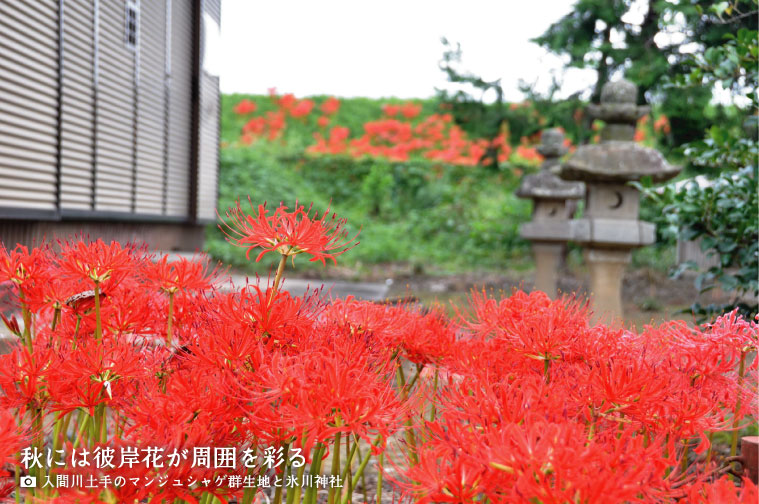 平塚新田 氷川神社