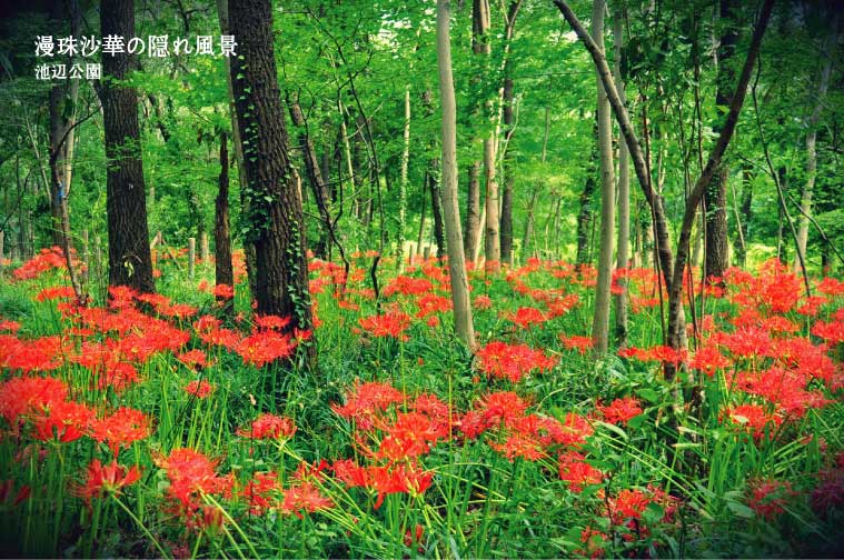 池辺公園