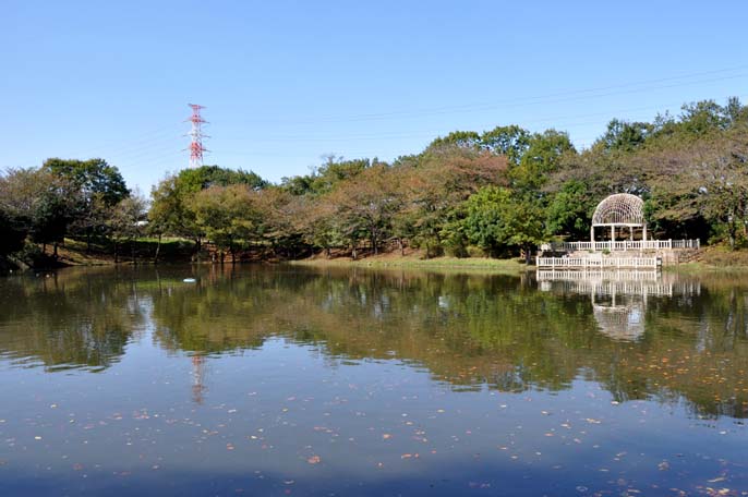 御伊勢塚公園