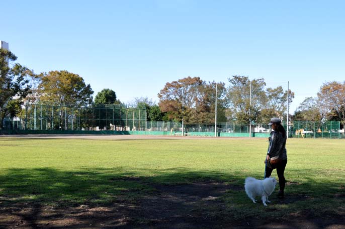 川鶴橋と笠幡公園