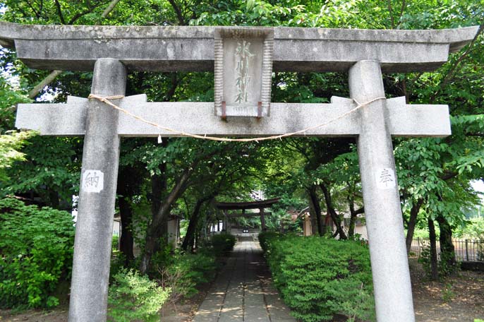 下老袋の氷川神社と集落