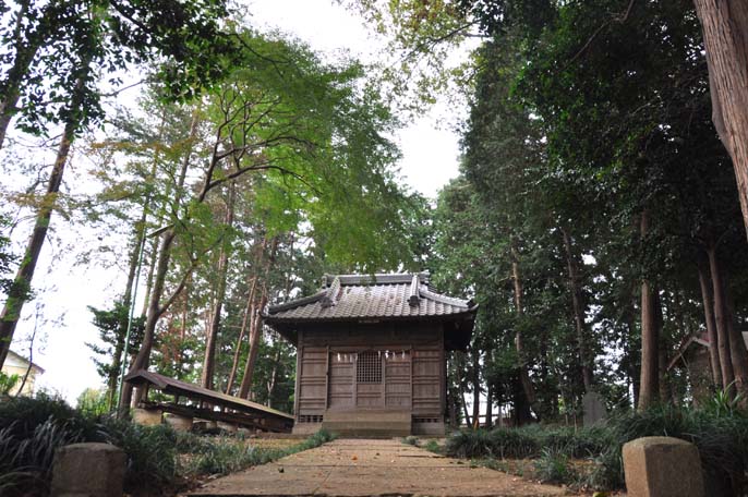小堤の八幡神社とふるさとの森
