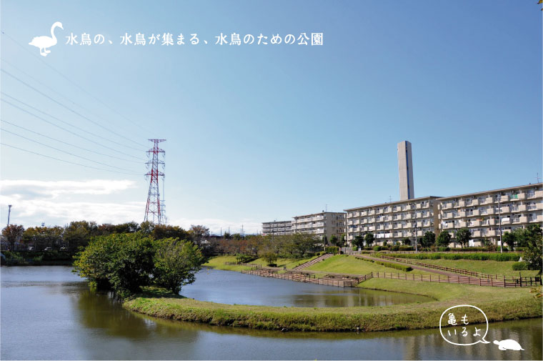 小畔水鳥の郷公園