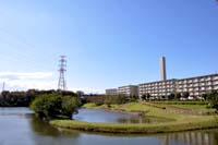 小畔水鳥の郷公園