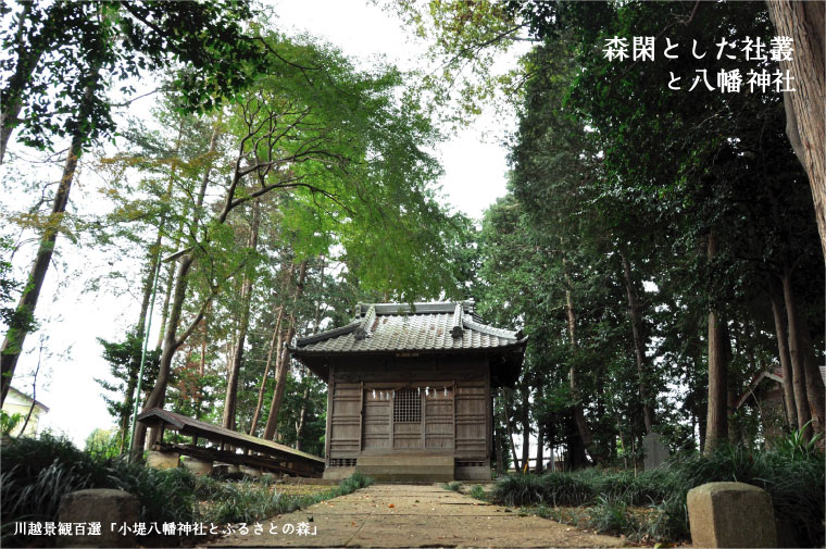 小堤八幡神社・ふるさとの森