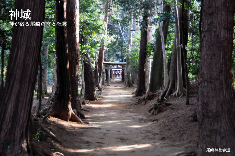 尾崎神社