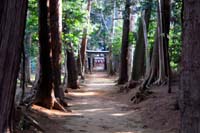 尾崎神社