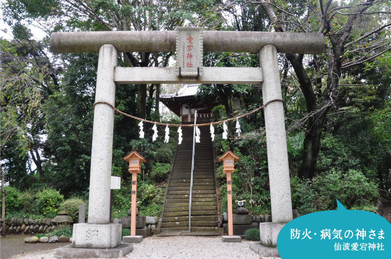 仙波愛宕神社