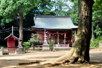 三芳野神社