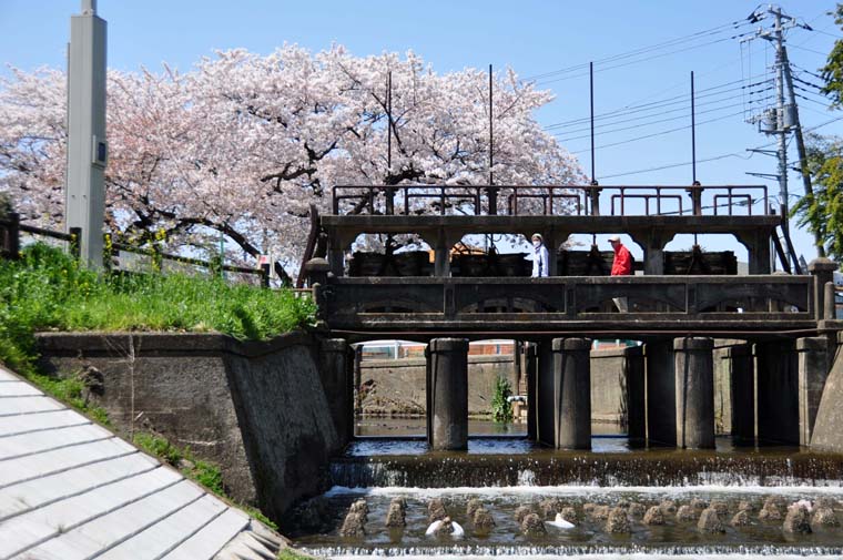 田谷堰