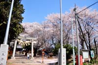 上戸日枝神社