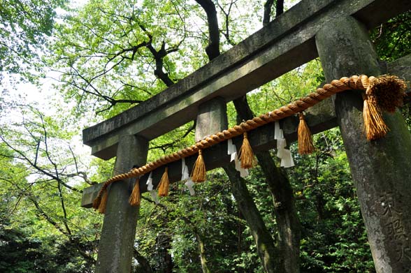 東照宮 石鳥居